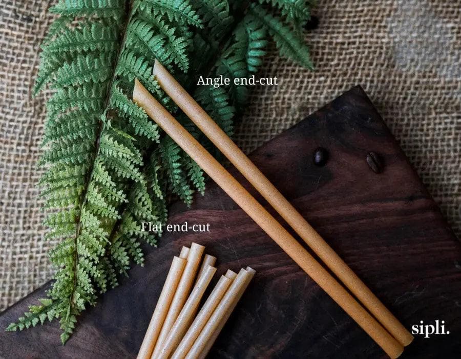 Plant-Based Standard Straws(Product of Canada) - Image 6